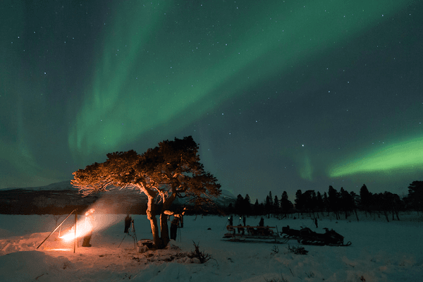 Activities in Abisko