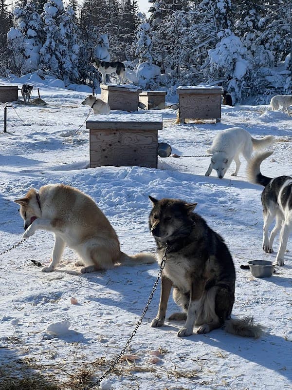 Wapusk Adventures & Wapusk General Store