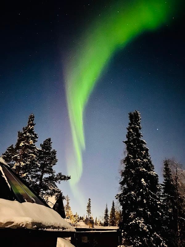 Northern Light Cabin with Sauna - Paradise Lapland