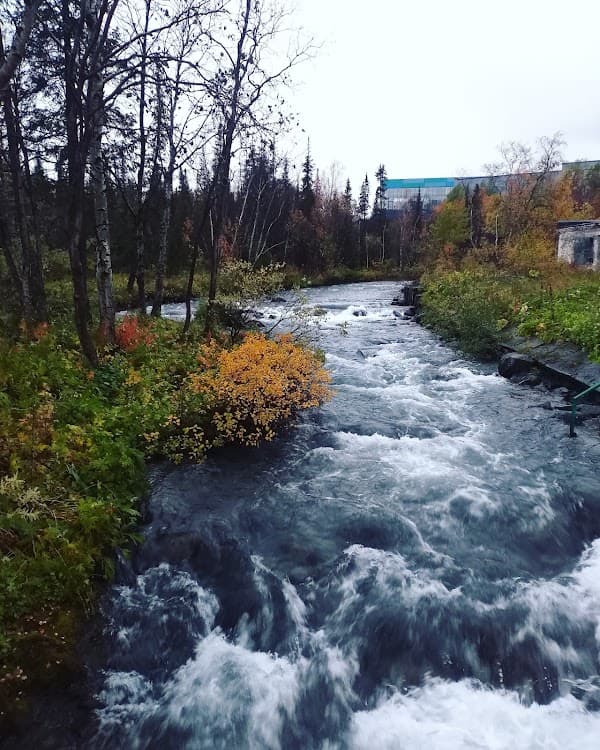 Туристский Информационный Центр Мурманской области