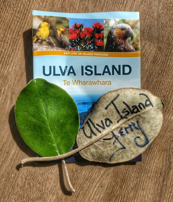 Rakiura Adventure Ltd.