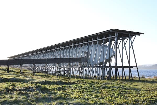 Steilneset Memorial Site