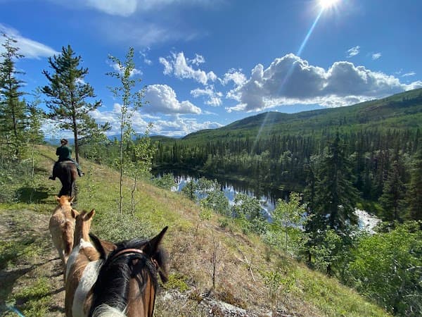 Caribou Wild Mountain Tours