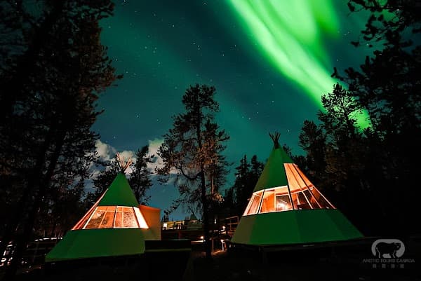 Arctic Tours Canada 熊讚旅遊