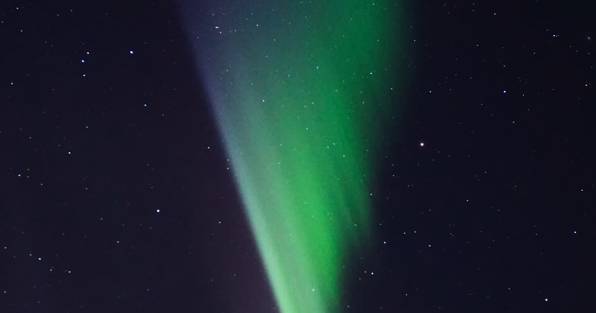 Vivid green aurora borealis above the boreal forest near Fairbanks, Alaska